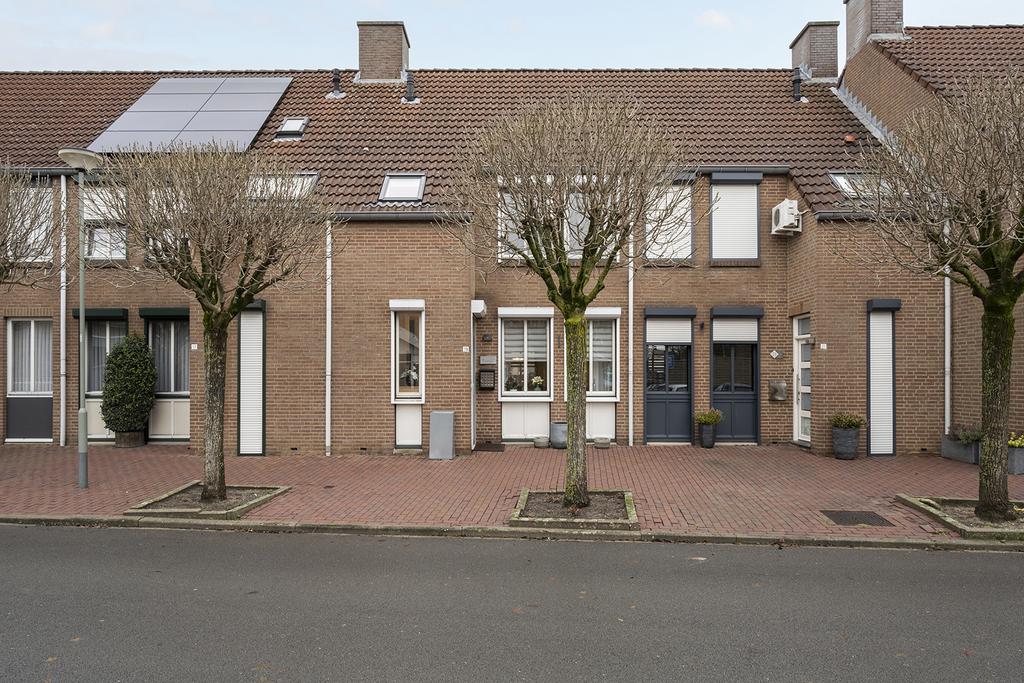 https://wa-wo.nl/wp-content/uploads/2024/02/realworks-45665-ff193ed7ab0c.jpg